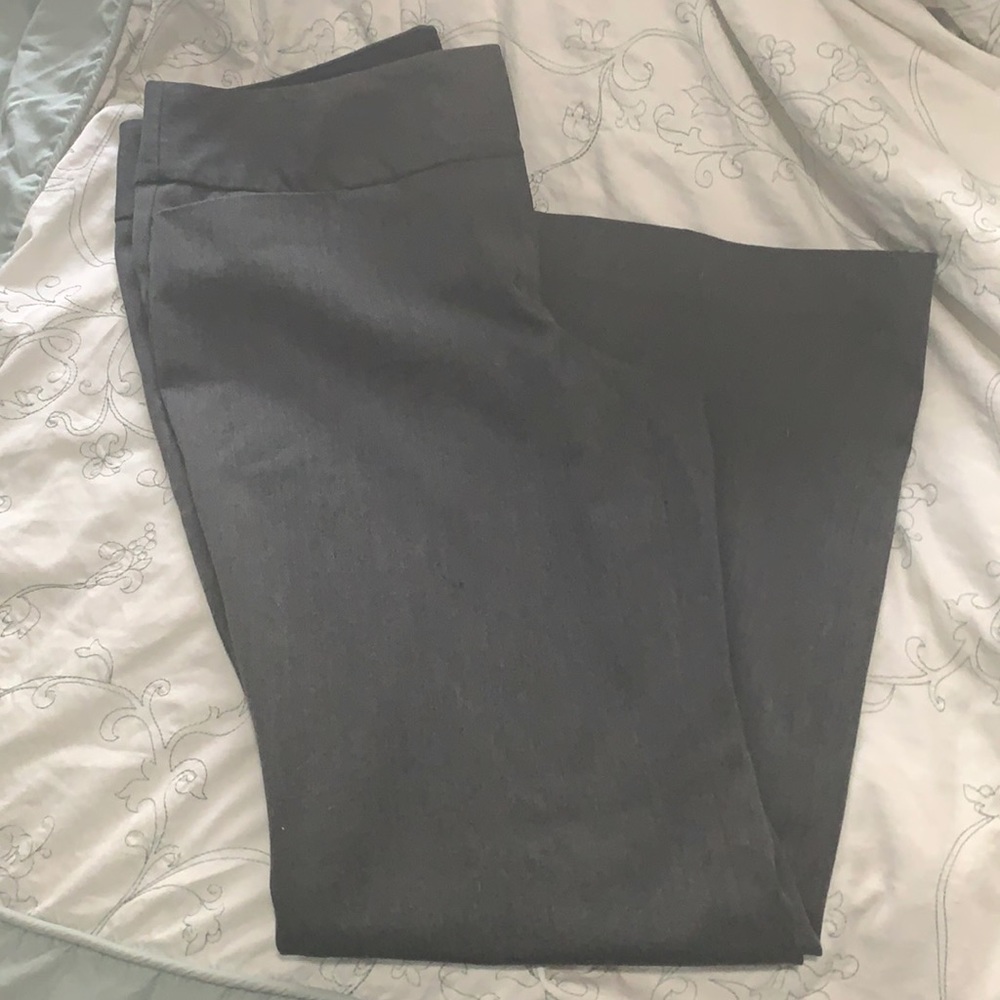 Express design studio Editor slacks